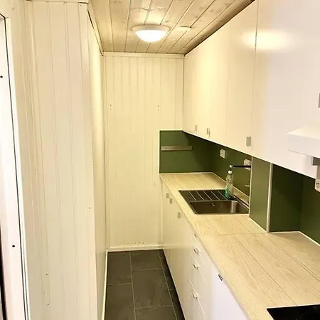 Sentrumsnaer Apartmán *
